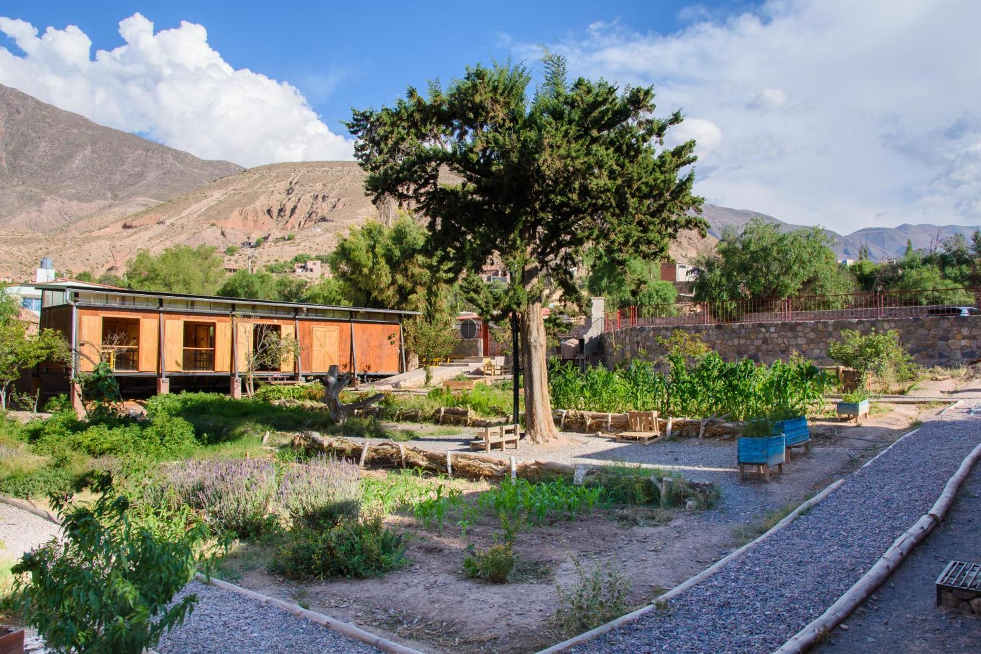 מלון Glamping El Obrador טיליקארה מראה חיצוני תמונה