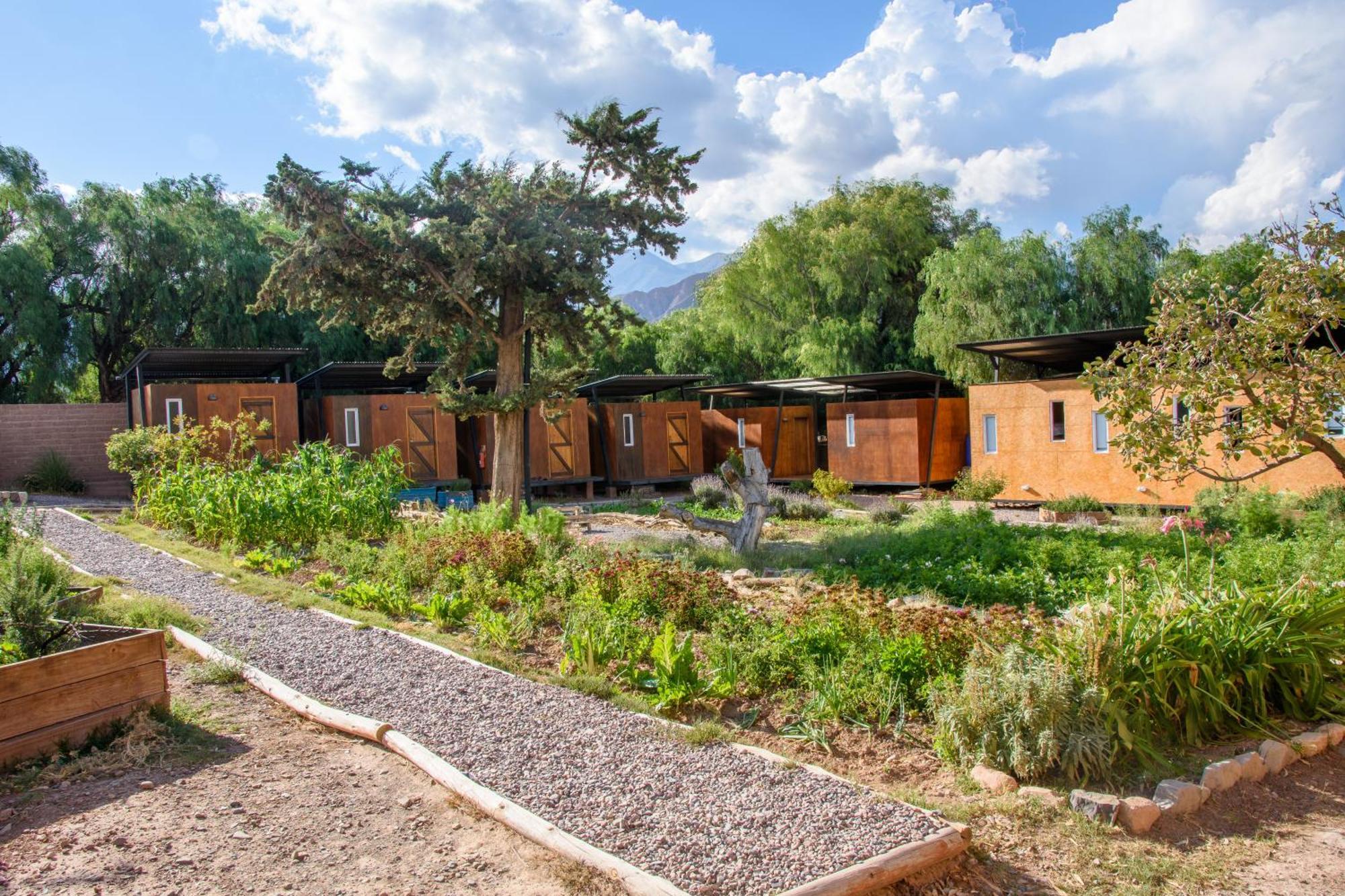 מלון Glamping El Obrador טיליקארה מראה חיצוני תמונה